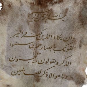 قیمت و خرید پوست تزئینی بزی