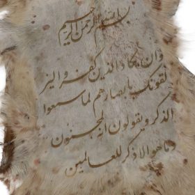 خرید اینترنتی پوست طبیعی تزئینی